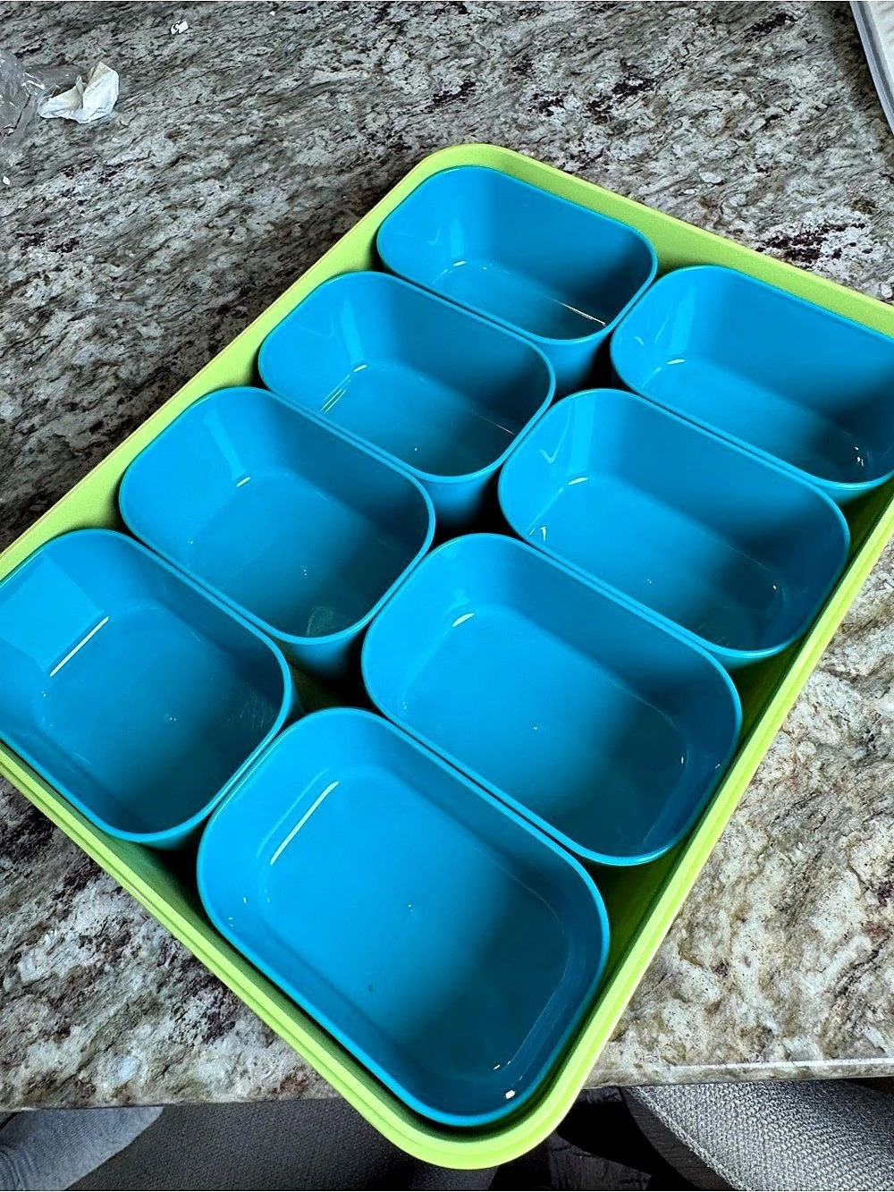 Food Storage Container Organizer in Blue & Green